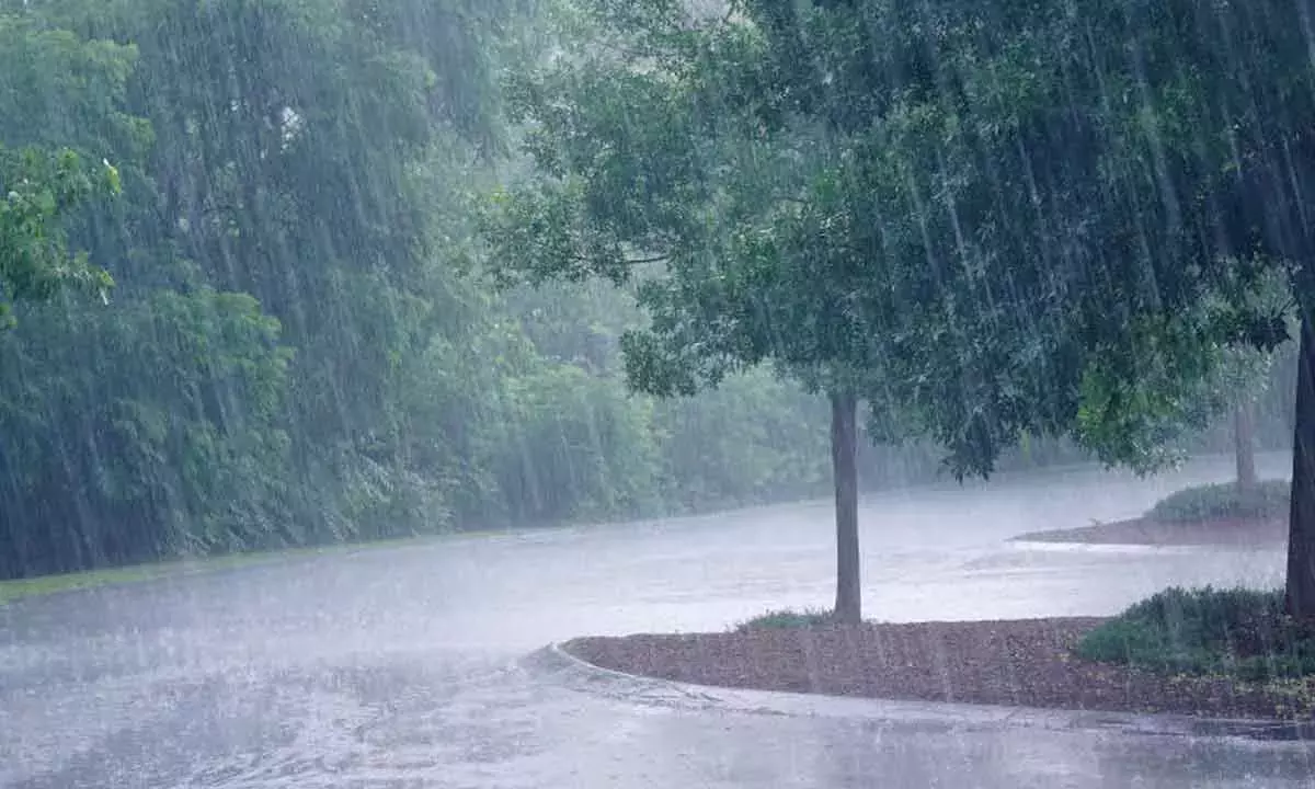 Andhra: दक्षिण-पश्चिम मानसून पूरे देश में फैला, बारिश होगी Andhra: दक्षिण-पश्चिम मानसून पूरे देश में फैला, बारिश होगी