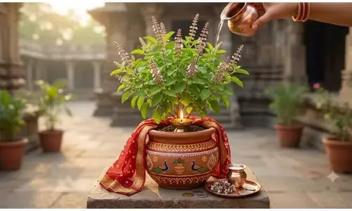 Yogini Ekadashi पर तुलसी के ये उपाय दूर करेंगे पैसों की तंगी Yogini Ekadashi पर तुलसी के ये उपाय दूर करेंगे पैसों की तंगी