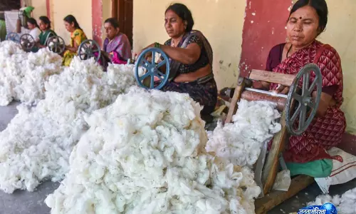 कॉटन प्रोडक्टिविटी मिशन के तहत गुजरात को ₹134.80 करोड़ कॉटन प्रोडक्टिविटी मिशन के तहत गुजरात को ₹134.80 करोड़