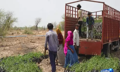 Van Kavach मॉडल से हरियाली अभियान को नई रफ्तार Van Kavach मॉडल से हरियाली अभियान को नई रफ्तार