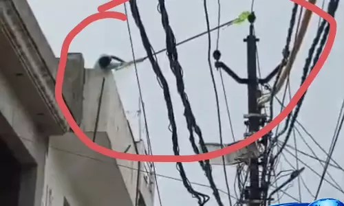 High tension लाइन बनी काल, पोते को बचाने पहुंचे दादा की मौत