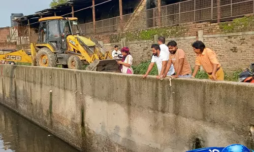 Khurja  में मानवता की मिसाल, नाले से बछड़े को सुरक्षित बाहर निकाला