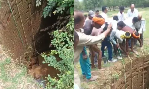 पेंड्रा में पानी से भरे कुएं में गिरा बैल, डायल-112 और ग्रामीणों के रेस्क्यू से बची जान