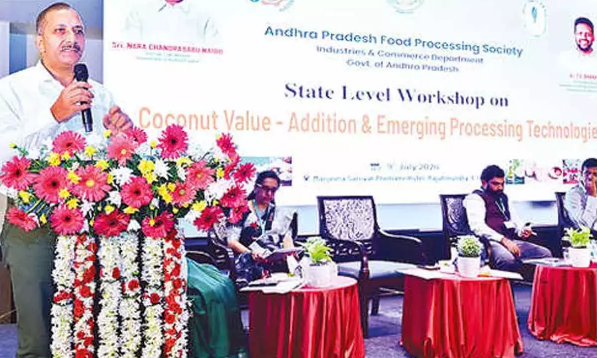 Andhra: नारियल किसानों की आय बढ़ाने के लिए वैल्यू एडिशन ज़रूरी Andhra: नारियल किसानों की आय बढ़ाने के लिए वैल्यू एडिशन ज़रूरी