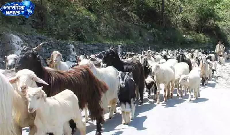 जम्मू-कश्मीर के व्यापारियों को पंजाब का आश्वासन दिया जम्मू-कश्मीर के व्यापारियों को पंजाब का आश्वासन दिया