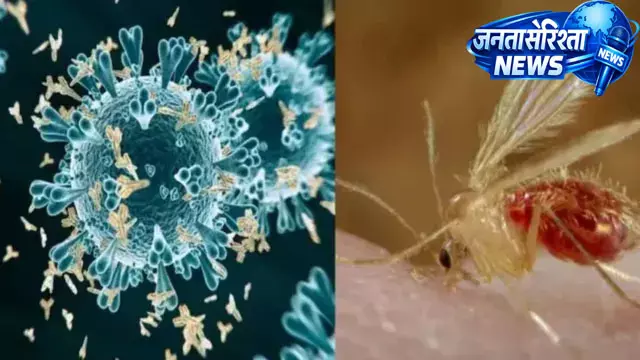 Gujarat : चांदीपुरा वायरस का कहर, 3 बच्चों की मौत Gujarat : चांदीपुरा वायरस का कहर, 3 बच्चों की मौत