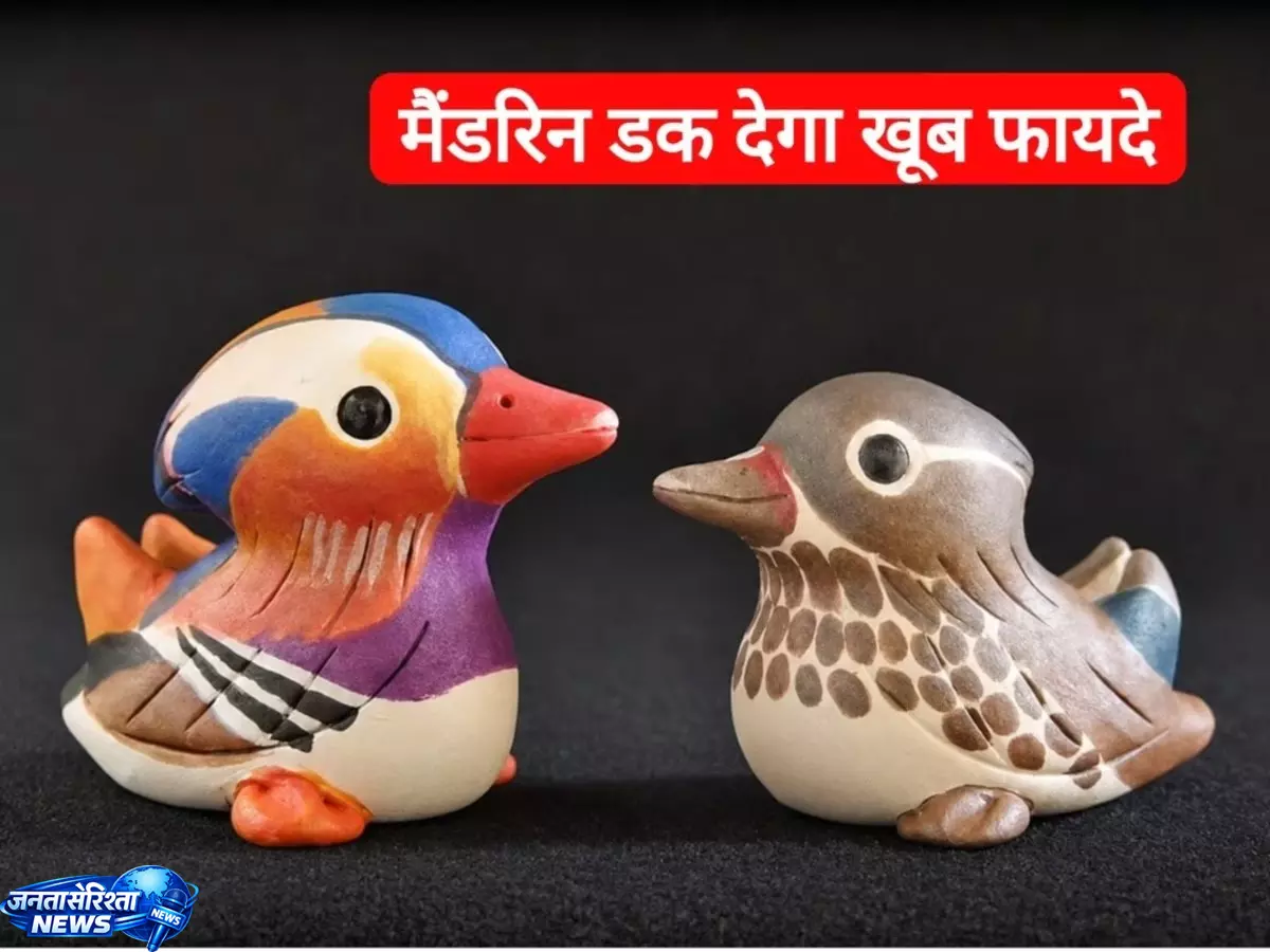 Relationships, की दूरियां मिटाएगा मैंडरिन डक, जानें सही दिशा Relationships, की दूरियां मिटाएगा मैंडरिन डक, जानें सही दिशा