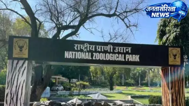 महागौरी के शावकों पर नजर, एक की हालत कमजोर महागौरी के शावकों पर नजर, एक की हालत कमजोर