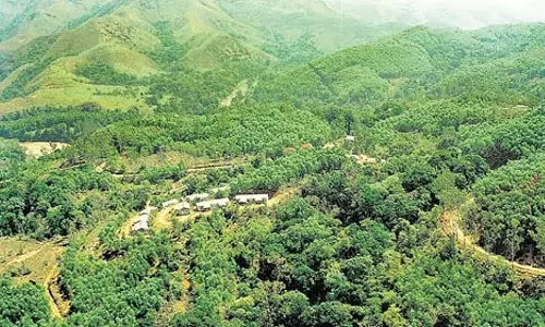 कुद्रेमुख नेशनल पार्क के ESZ में निर्माण उल्लंघन का मामला, तीन रिसॉर्ट्स को नोटिस जारी