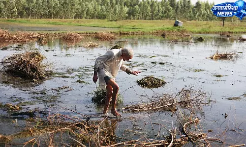 Karnataka : प्याज किसानों की सरकार से गुहार, बारिश नुकसान पर मांगी तुरंत राहत