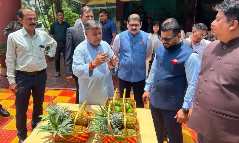 Tripura ने लुलु रिटेल के जरिए दुबई को ऑर्गेनिक नींबू, चावल और अनानास का एक्सपोर्ट किया Tripura ने लुलु रिटेल के जरिए दुबई को ऑर्गेनिक नींबू, चावल और अनानास का एक्सपोर्ट किया