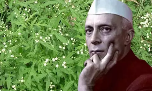 जब Majroohs की कलम बनी विवाद की वजह, कविता पर भेजे गए जेल जब Majroohs की कलम बनी विवाद की वजह, कविता पर भेजे गए जेल
