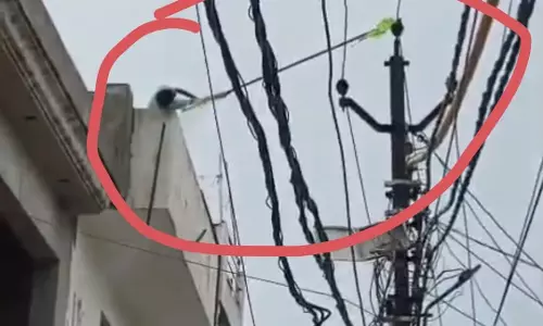 kite के चक्कर में गई जान, दादा के बाद 12 वर्षीय अहद ने भी दम तोड़ा kite के चक्कर में गई जान, दादा के बाद 12 वर्षीय अहद ने भी दम तोड़ा