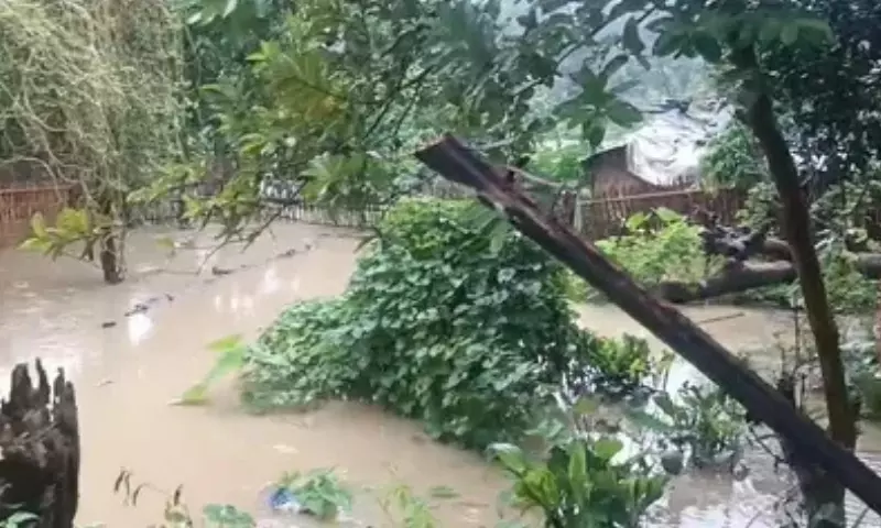 Assam में कुदरत का कहर: 10 वर्षों में बाढ़ और भूस्खलन ने ली 866 जानें Assam में कुदरत का कहर: 10 वर्षों में बाढ़ और भूस्खलन ने ली 866 जानें