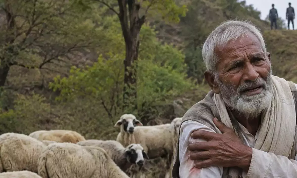 Andhra: संदिग्ध शिकारियों की फायरिंग में चरवाहा घायल Andhra: संदिग्ध शिकारियों की फायरिंग में चरवाहा घायल