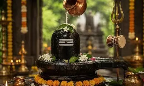 Sawan 2026 : शिवलिंग पर क्या चढ़ाएं और किन चीजों से बचें, पूरी लिस्ट