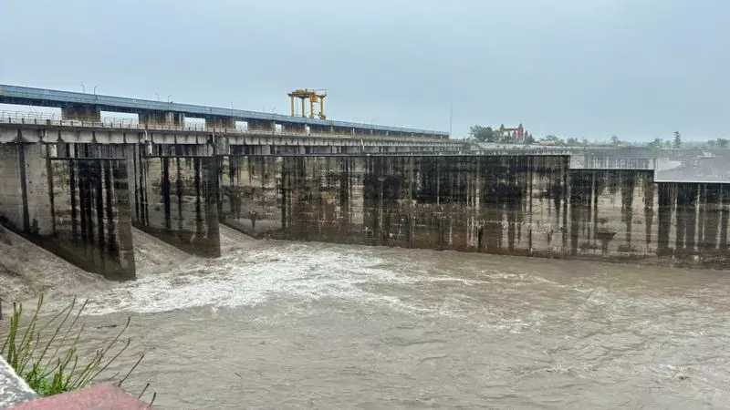 यमुना नदी का जलस्तर 50,640 क्यूसेक दर्ज किया गया यमुना नदी का जलस्तर 50,640 क्यूसेक दर्ज किया गया