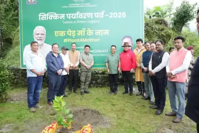 सिक्किम ने जल सुरक्षा के लिए मिशन मिलियन ओक ट्रीज़ 2047 किया लॉन्च सिक्किम ने जल सुरक्षा के लिए मिशन मिलियन ओक ट्रीज़ 2047 किया लॉन्च