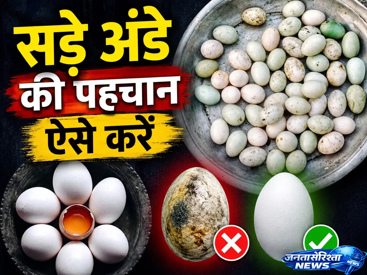 Online, मंगाए अंडे की ऐसे करें पहचान, खराब निकला तो हो सकता है नुकसान Online, मंगाए अंडे की ऐसे करें पहचान, खराब निकला तो हो सकता है नुकसान