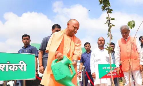 यूपी में आज लगाए जाएंगे 35 करोड़ पौधे