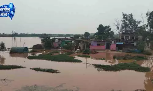 Ambala मारकंडा-टांगरी किनारे किसानों में फसल की चिंता Ambala मारकंडा-टांगरी किनारे किसानों में फसल की चिंता