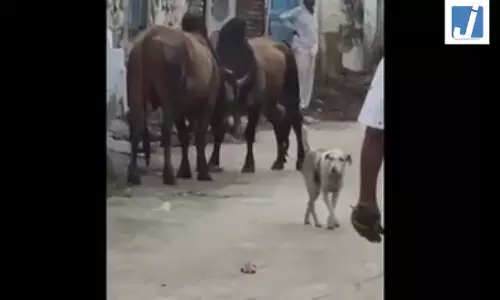 OMG! बीच बाजार में छिड़ा महादंगल, बुलानी पड़ गई JCB OMG! बीच बाजार में छिड़ा महादंगल, बुलानी पड़ गई JCB
