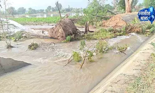 Abohar में पानी भरने से किसानों की चिंता बढ़ी Abohar में पानी भरने से किसानों की चिंता बढ़ी