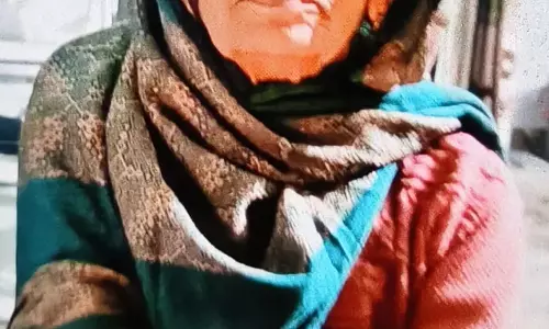 Rohta पुल पर भीषण टक्कर, फरार चालक की तलाश Rohta पुल पर भीषण टक्कर, फरार चालक की तलाश