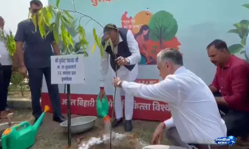 वन क्षेत्र बढ़ाने में UP अव्वल, ब्रजेश पाठक का दावा वन क्षेत्र बढ़ाने में UP अव्वल, ब्रजेश पाठक का दावा