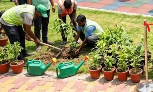 38 लाख रुपये की लागत से लगेंगे ओपन जिम और पौधे