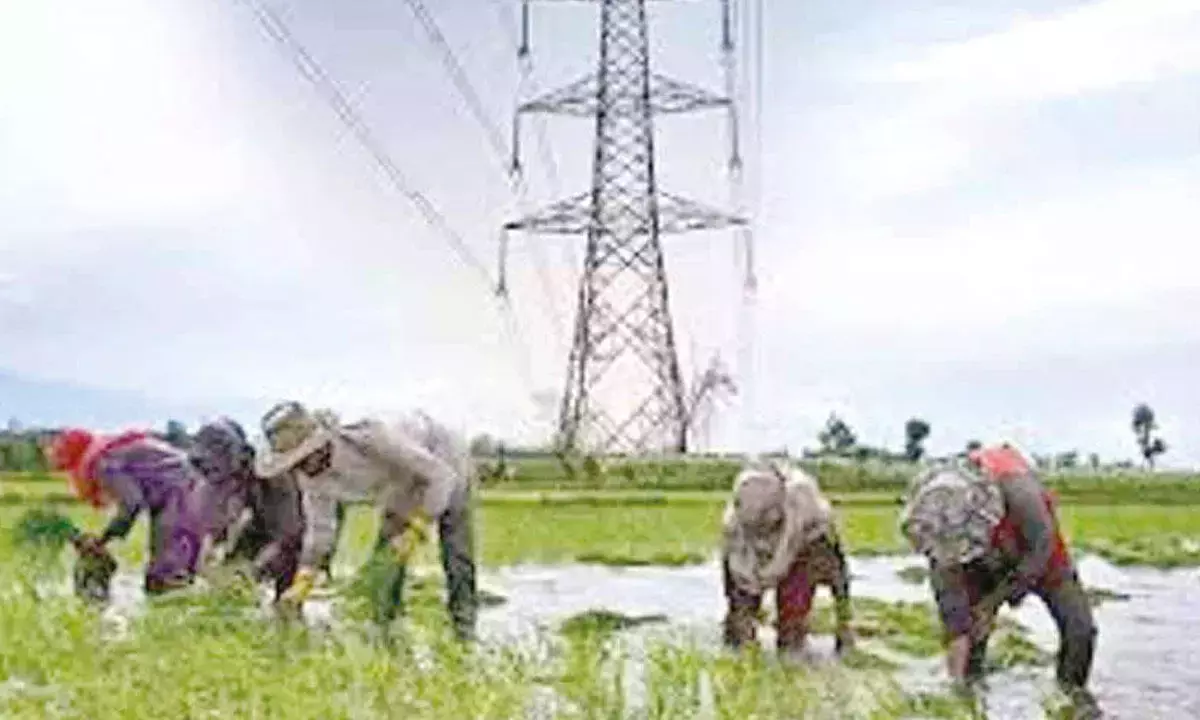 Telangana: रायथू डिस्कॉम को पूर्ण संचालन के लिए लाइसेंस मिला Telangana: रायथू डिस्कॉम को पूर्ण संचालन के लिए लाइसेंस मिला