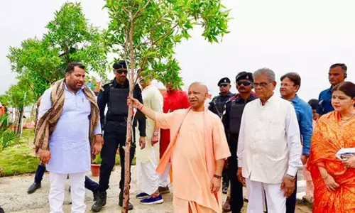 Environmental संरक्षण पर सीएम योगी का जोर, बोले- पेड़ ही बचाएंगे भविष्य Environmental संरक्षण पर सीएम योगी का जोर, बोले- पेड़ ही बचाएंगे भविष्य