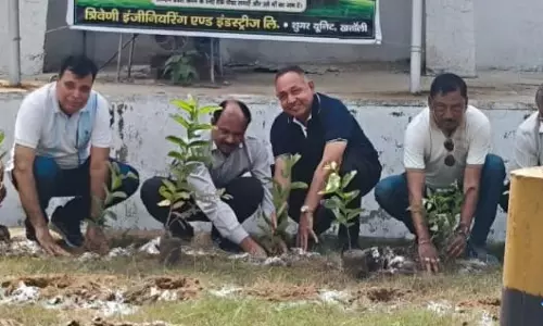 Muzaffarnagar, में हरियाली की पहल, त्रिवेणी मिल परिसर में लगाए गए हजारों पौधे Muzaffarnagar, में हरियाली की पहल, त्रिवेणी मिल परिसर में लगाए गए हजारों पौधे