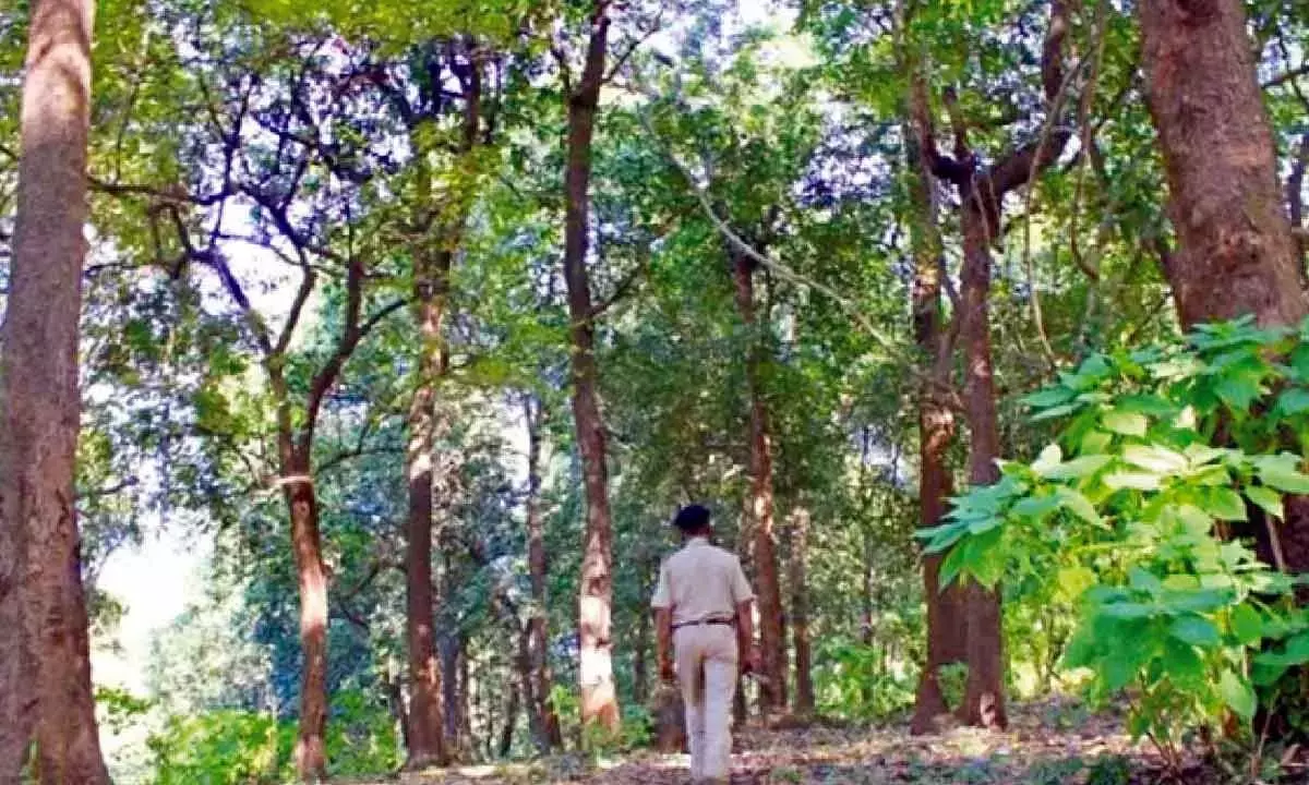 एचएमटी भूमि राज्य की, वन भूमि ही रहेगी: खंड्रे
