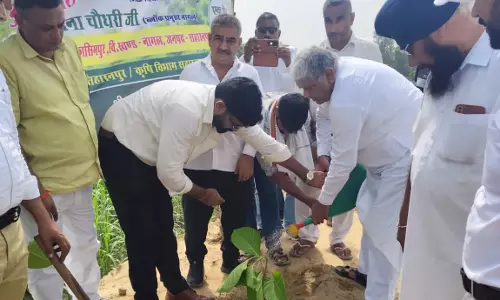 Saharanpur में पर्यावरण संरक्षण की पहल, जीर्णोद्धार तालाब के पास हुआ वृहद पौधारोपण Saharanpur में पर्यावरण संरक्षण की पहल, जीर्णोद्धार तालाब के पास हुआ वृहद पौधारोपण