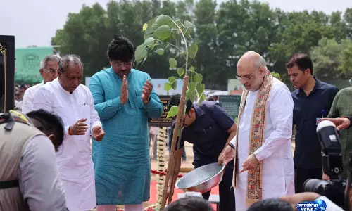 हरियाली लोकसभा अभियान: अमित शाह और भूपेंद्र पटेल ने किया वृक्षारोपण हरियाली लोकसभा अभियान: अमित शाह और भूपेंद्र पटेल ने किया वृक्षारोपण