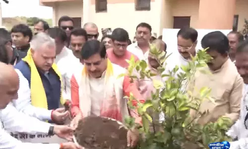 एक पेड़ मां के नाम अभियान बन गया है जन आंदोलन: एमपी सीएम मोहन यादव एक पेड़ मां के नाम अभियान बन गया है जन आंदोलन: एमपी सीएम मोहन यादव