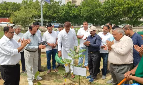 Greater नोएडा में हरित अभियान तेज, सांसद नागर ने दिया पर्यावरण संरक्षण का संदेश