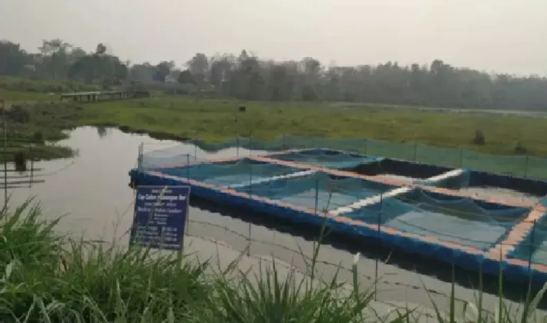 ICAR-CIFA ने बढ़ाया मान: राष्ट्रीय मछली किसान दिवस पर असम के उद्यमी को अवॉर्ड ICAR-CIFA ने बढ़ाया मान: राष्ट्रीय मछली किसान दिवस पर असम के उद्यमी को अवॉर्ड