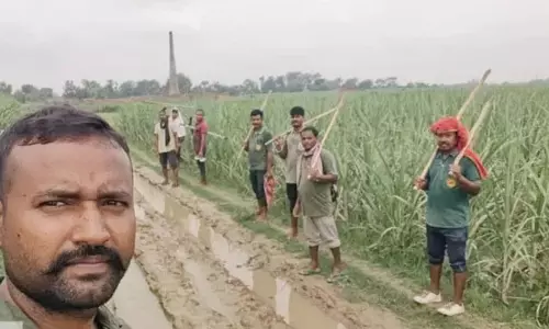वाल्मीकि टाइगर रिजर्व का बाघ लगातार बदल रहा ठिकाना, वन विभाग अलर्ट