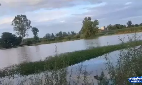 Savtu गांव में बाढ़ जैसे हालात, लबालब तालाबों से खेत डूबे; किसानों की बढ़ी चिंता Savtu गांव में बाढ़ जैसे हालात, लबालब तालाबों से खेत डूबे; किसानों की बढ़ी चिंता