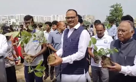 वृक्षारोपण अभियान के तहत ब्रजेश पाठक ने लगाया पौधा, बोले- यूपी को हरित प्रदेश बनाने में हर नागरिक दे योगदान
