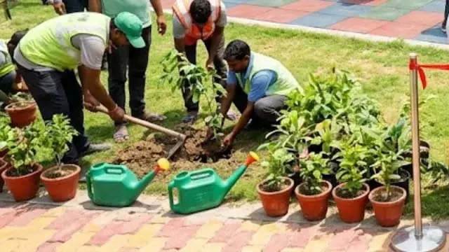 38 लाख रुपये की लागत से लगेंगे ओपन जिम और पौधे 38 लाख रुपये की लागत से लगेंगे ओपन जिम और पौधे