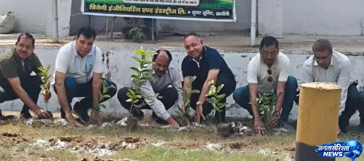 Muzaffarnagar, में हरियाली की पहल, त्रिवेणी मिल परिसर में लगाए गए हजारों पौधे Muzaffarnagar, में हरियाली की पहल, त्रिवेणी मिल परिसर में लगाए गए हजारों पौधे