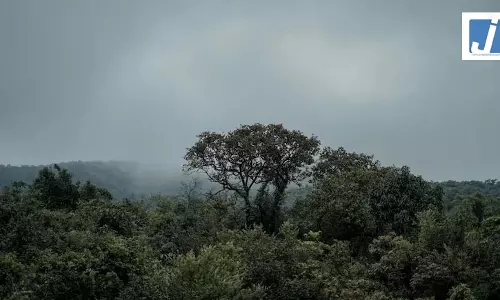 छत्तीसगढ़ में लापता हो गया मॉनसून...जानें मौसम का लेटेस्ट अपडेट छत्तीसगढ़ में लापता हो गया मॉनसून...जानें मौसम का लेटेस्ट अपडेट