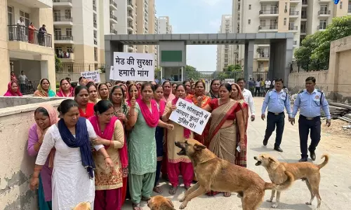 ग्रेटर नोएडा वेस्ट में आवारा कुत्तों को लेकर हंगामा, घरेलू सहायिकाओं ने काम छोड़ा