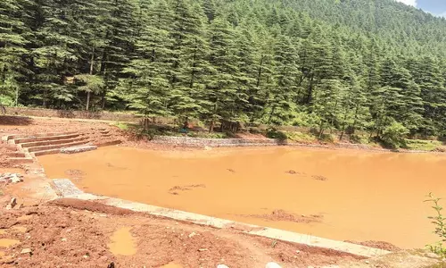 Dharamshala: डल झील सफाई अभियान पर सवाल, बारिश में बहकर लौटी निकाली गई गाद