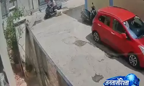 आवारा कुत्तों से परेशान पुराने मलकपेट के लोग, GHMC से लगाई गुहार