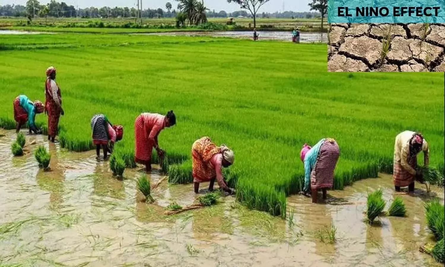 Andhra: येलेरू जलाशय पर अल नीनो का प्रभाव, किसानों को पानी का इंतजार