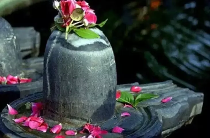 सोमवार के दिन शिवलिंग पर चढ़ाएं ये 8 चीजें, मान्यता है पूरी होती हैं मनोकामनाएं